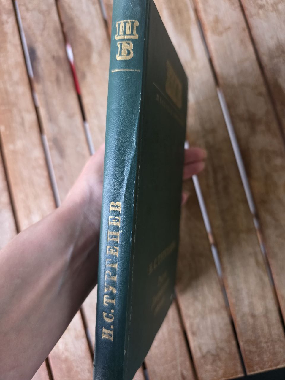 I.S. Turgenev – Rudin / A Nest of the Gentry (И.С. Тургенев)