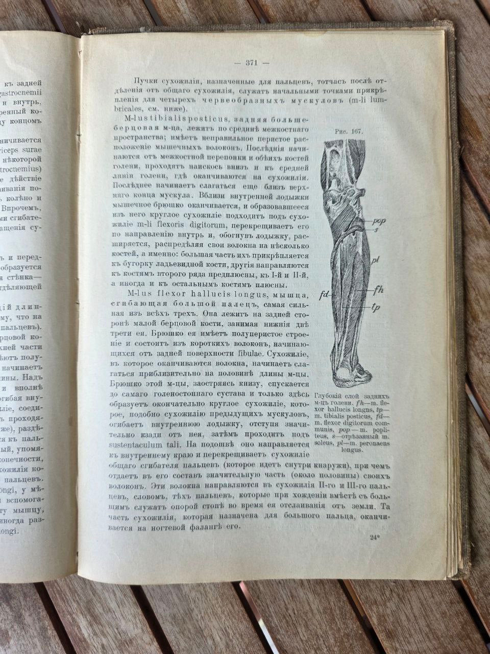 Antique Russian Medical Book – Руководство Описательной Анатомии Человека