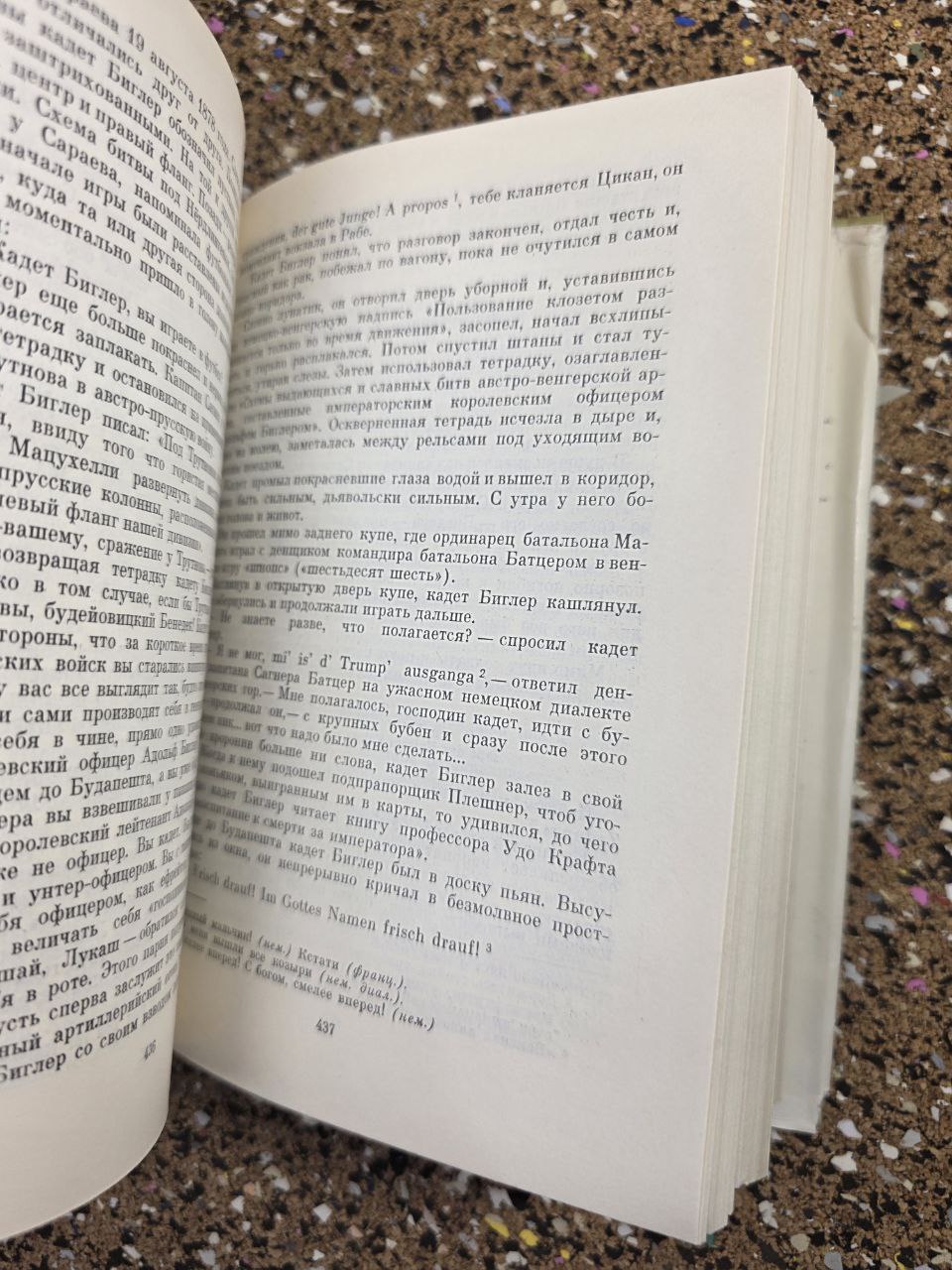 The Fates of the Good Soldier Švejk — Vintage Soviet Russian Edition