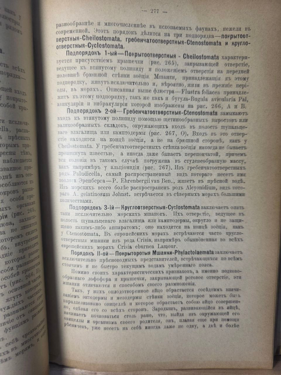 Course of Zoology — Volume II by Nikolai Zograf (1898)