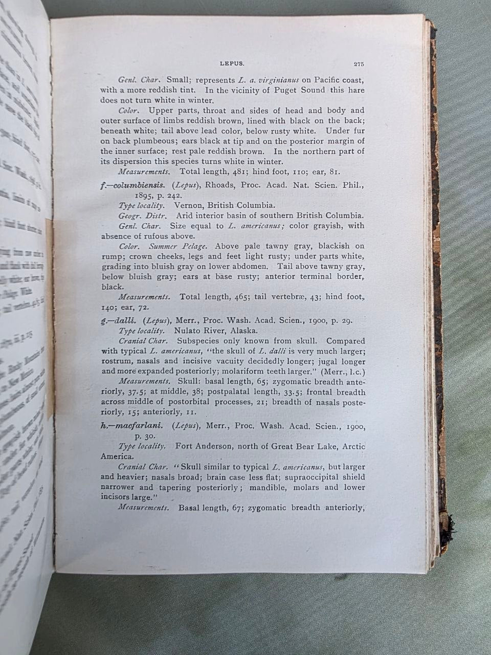 Daniel Giraud Elliot – A Synopsis of the Mammals of North America and the Adjacent Seas (1901) First Edition