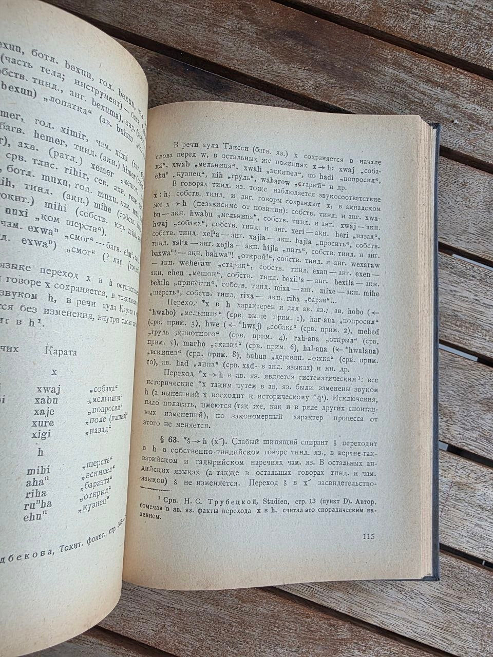 Rare 1964 Soviet Linguistics Book: Consonantism of Andi Languages – T.E. Gudava (Ed. Chikobava) | Tsar to Soviet Books