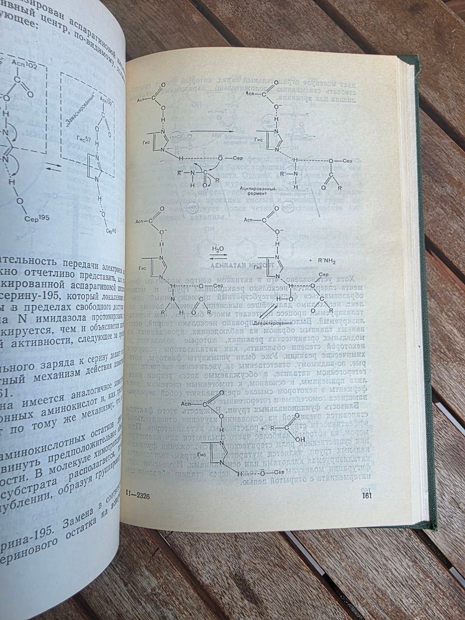 D. W. Moss & P. J. Butterworth — Enzymology and Medicine, 1978