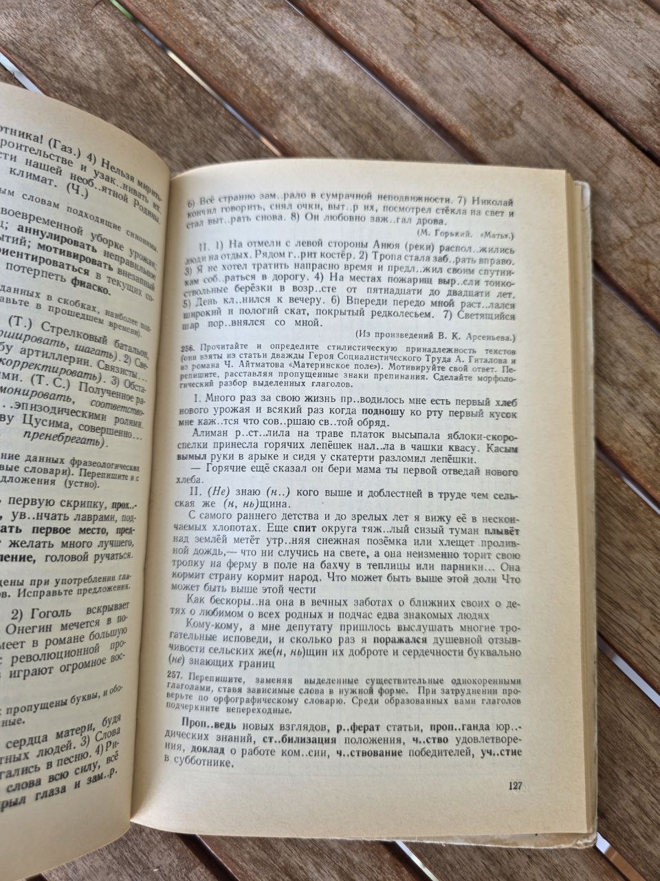 Пособие для занятий по русскому языку в старших классах средней школы