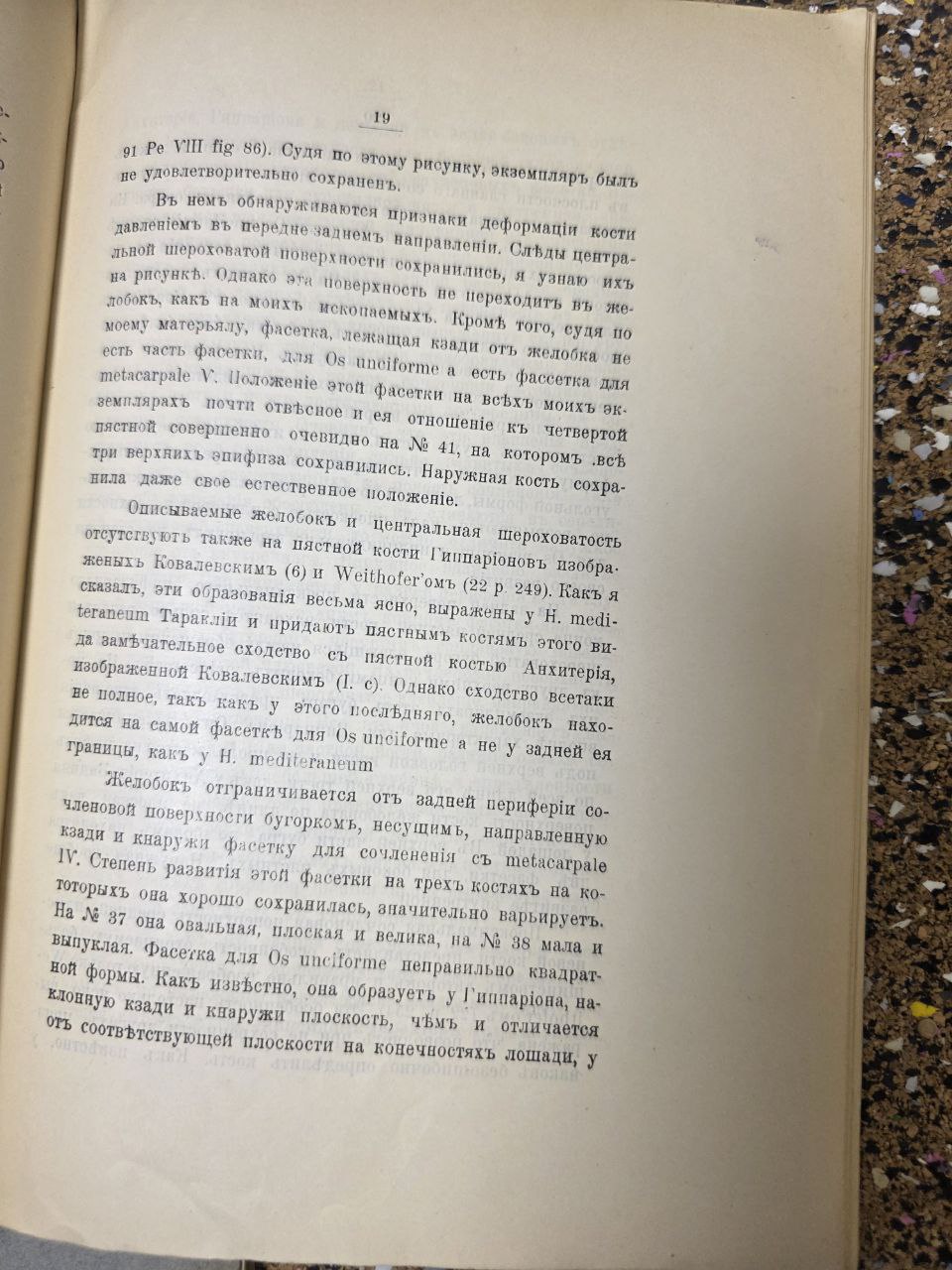 Rare Antique Volumes: Proceedings of the Bessarabian Society of Naturalists