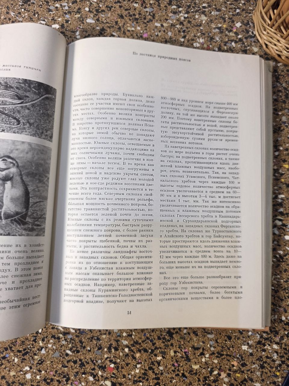 Vintage USSR Book on Uzbekistan «Узбекистан» (Советский Союз)