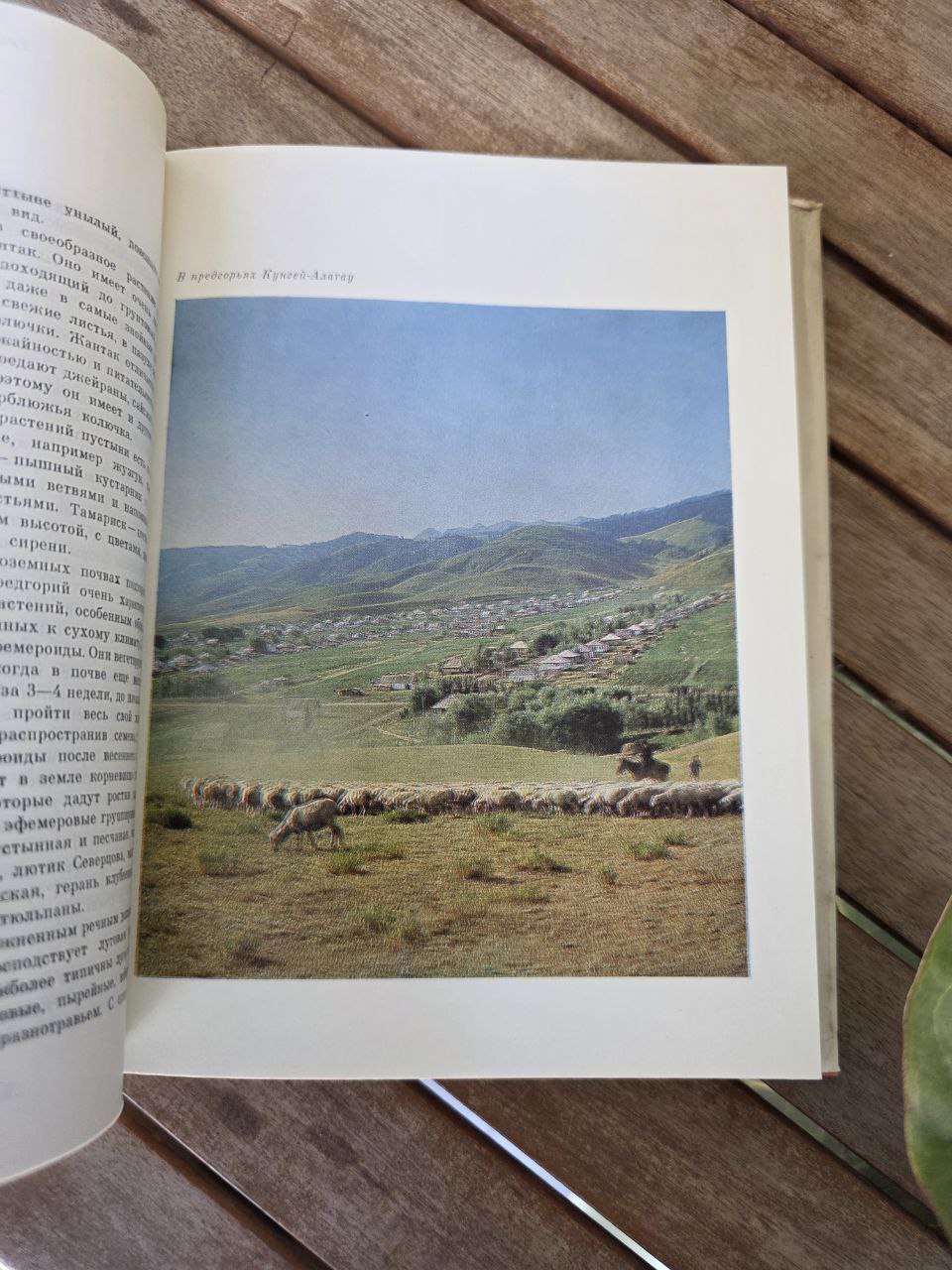 Rare Vintage Soviet Illustrated Book: Kazakhstan / Казахстан USSR Book