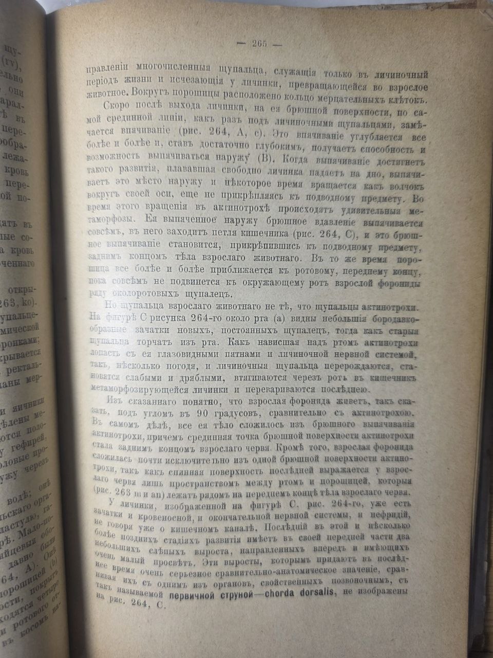 Course of Zoology — Volume II by Nikolai Zograf (1898)