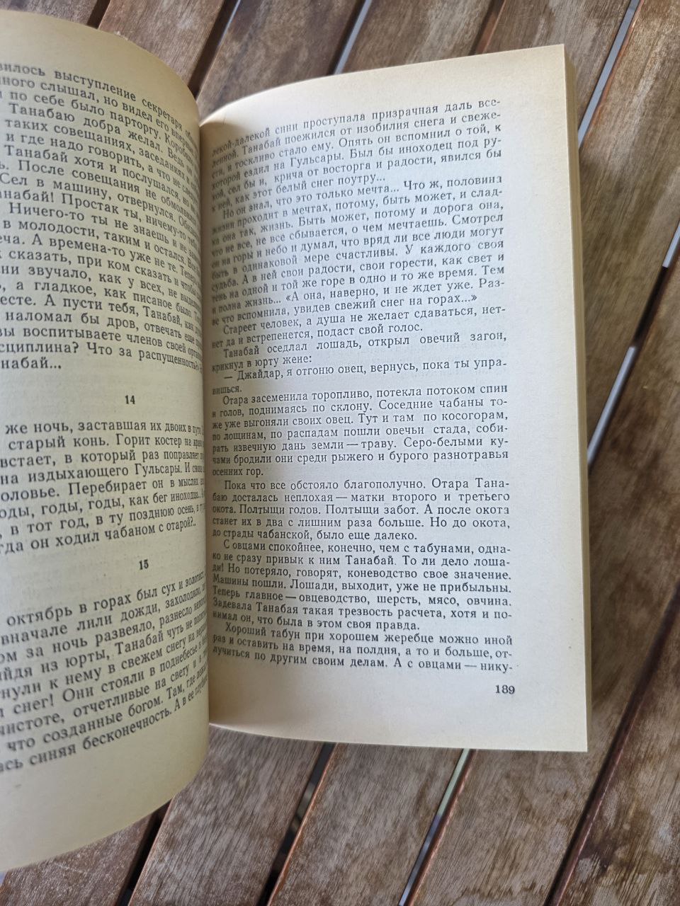 Rare 1985 Soviet Edition – Chingiz Aitmatov “Echo of the World” Айтматов