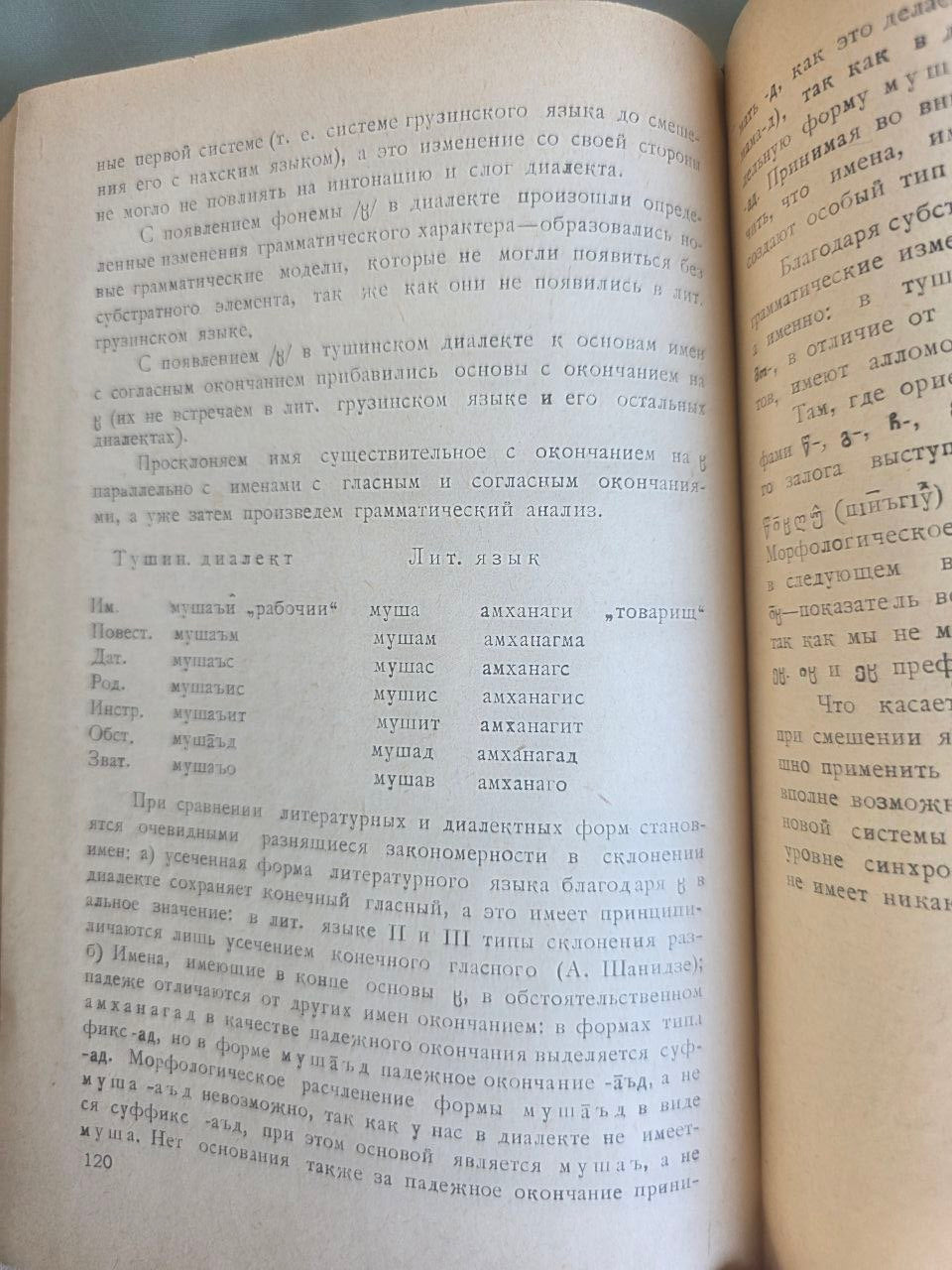 Vintage 1966 Georgian Mountain Dialects Linguistics Book Tbilisi Metsniereba USSR