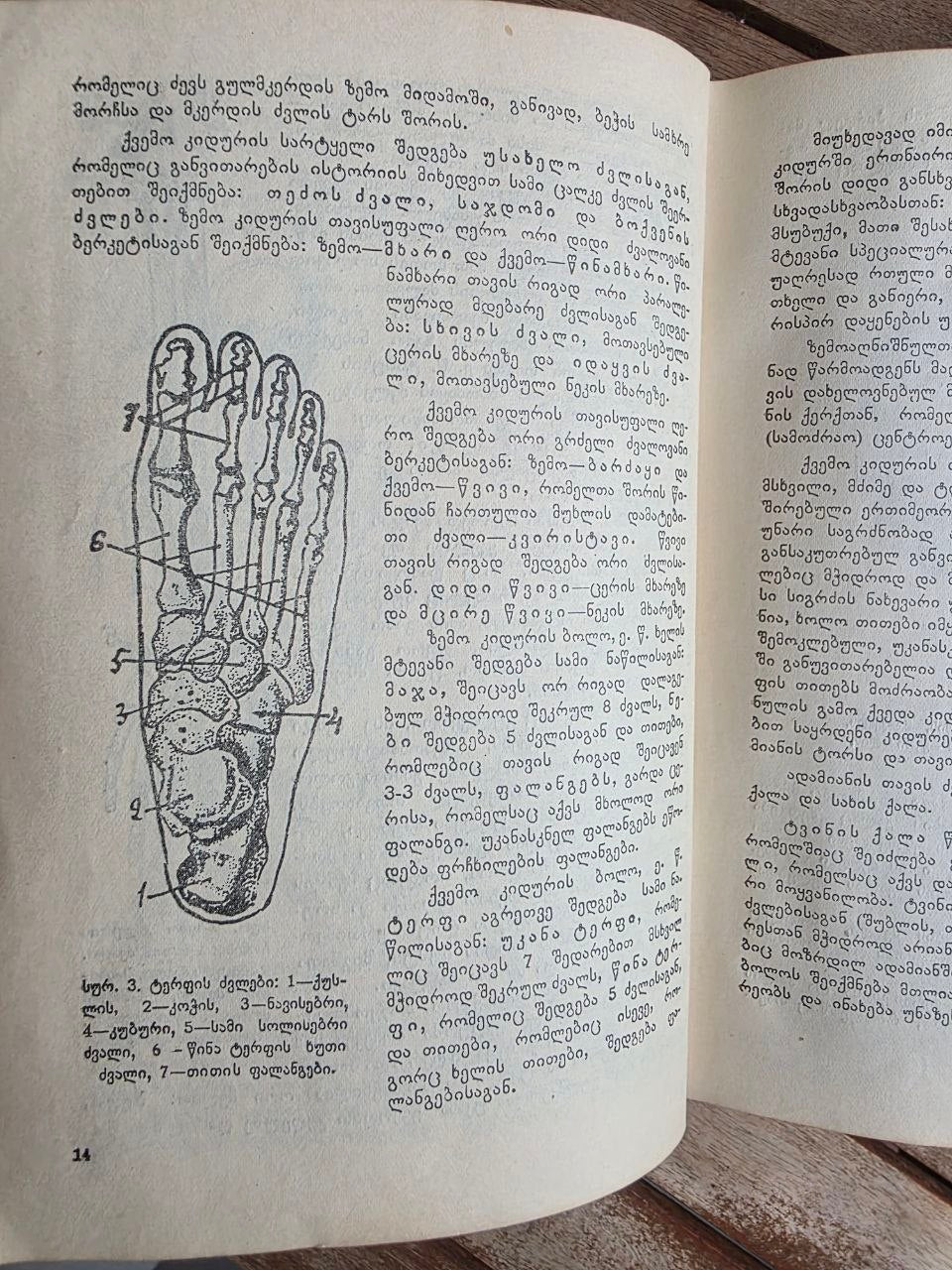 Rare 1950 Soviet Book: Family Medical Guide (Sakmedgami Tbilisi) | Tsar to Soviet Books