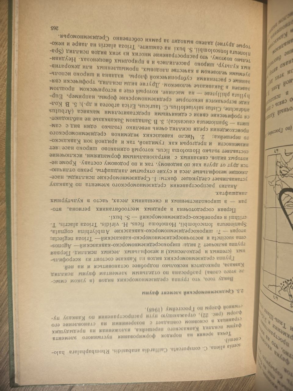Psyllids of the Caucasus (1984)