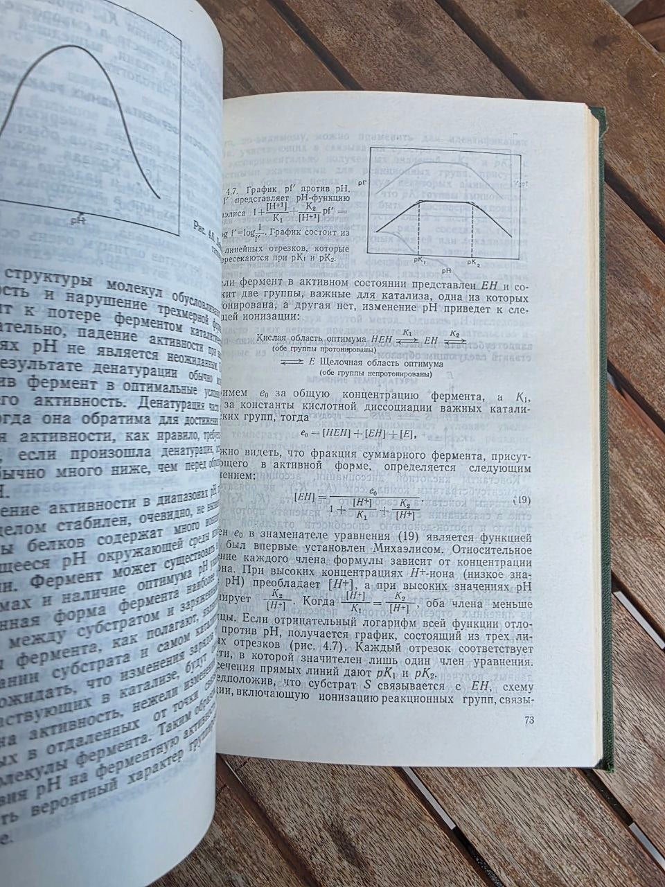 D. W. Moss & P. J. Butterworth — Enzymology and Medicine, 1978