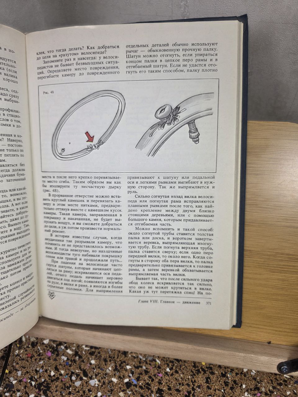 Physical Culture for the Whole Family — USSR Health & Fitness Manual (1988)