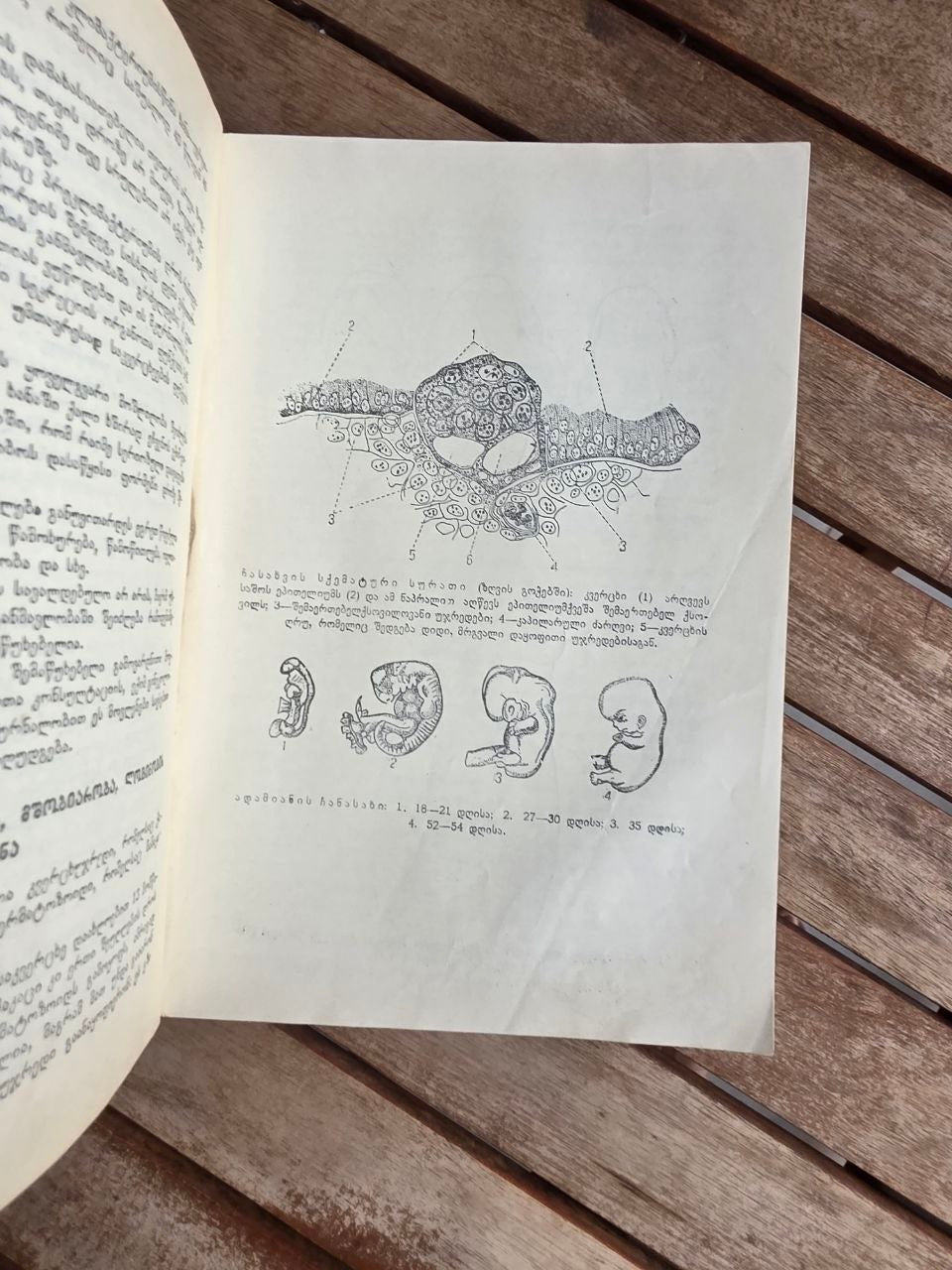 Rare 1950 Soviet Book: Family Medical Guide (Sakmedgami Tbilisi) | Tsar to Soviet Books