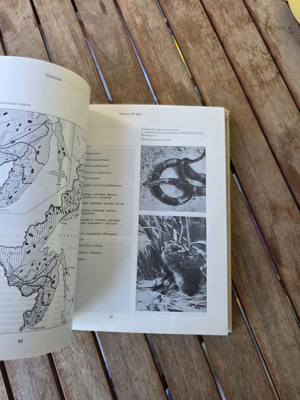 Far East of the USSR - Дальний Восток СССР - USSR Book