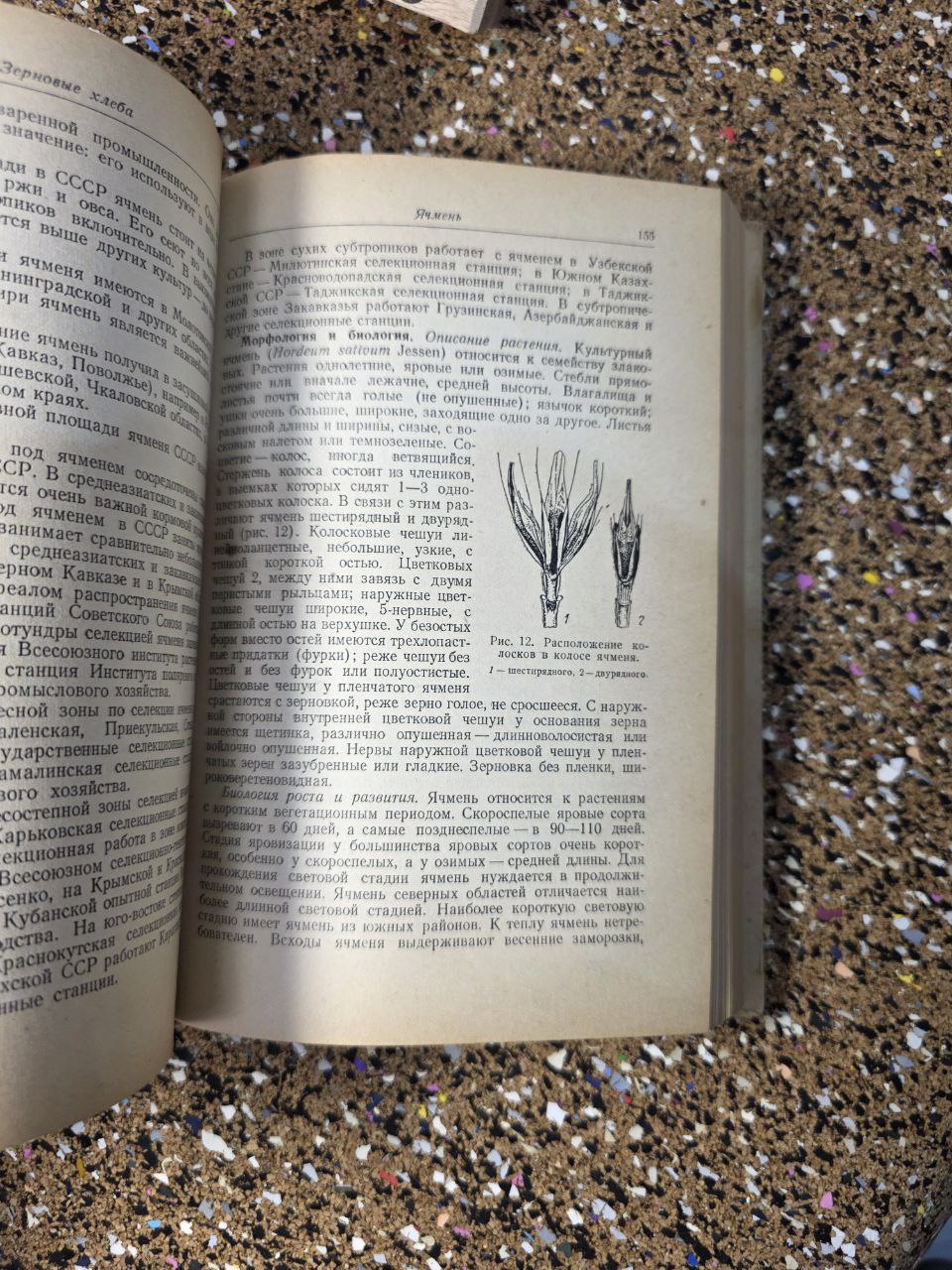 Private Selection of Field Crops (1951) / Частная селекция полевых культур