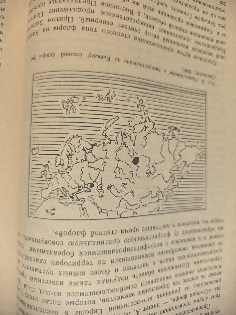 Psyllids of the Caucasus (1984)