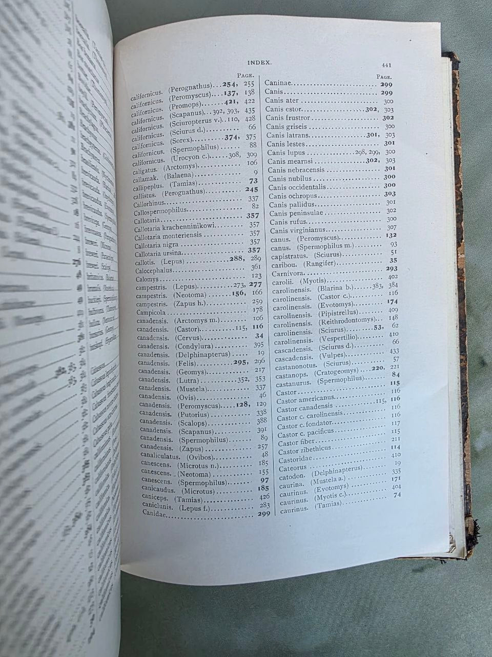 Daniel Giraud Elliot – A Synopsis of the Mammals of North America and the Adjacent Seas (1901) First Edition