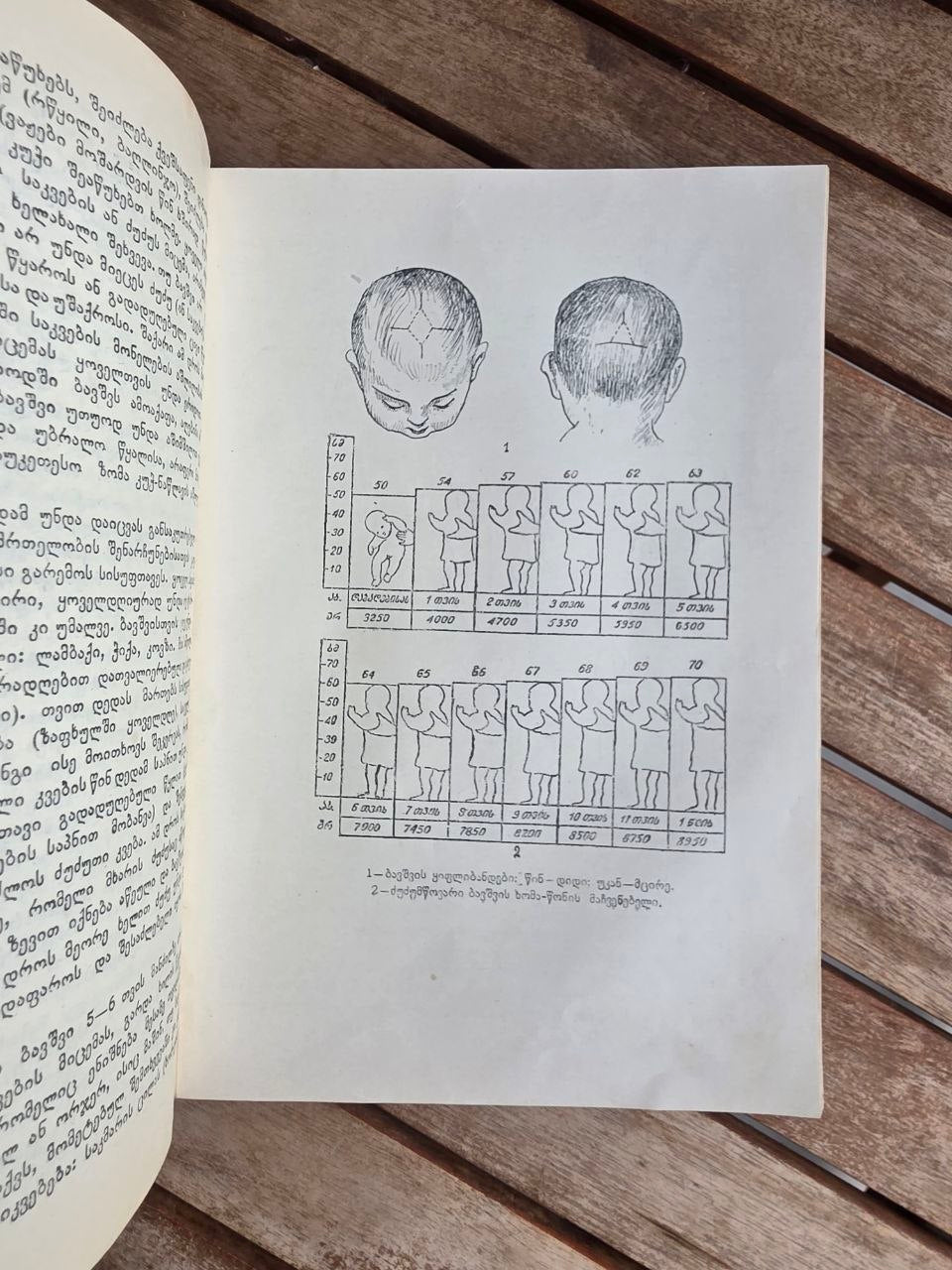 Rare 1950 Soviet Book: Family Medical Guide (Sakmedgami Tbilisi) | Tsar to Soviet Books