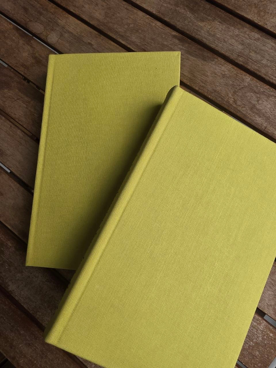Vintage 1982 German Book Set: Van Gogh Letters to Theo (2 Vol) | Tsar to Soviet Books