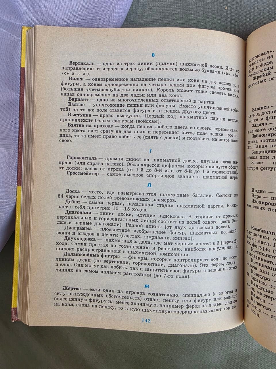 Vintage Soviet Children's Chess Book | Kids Play Chess by V.G. Grishin