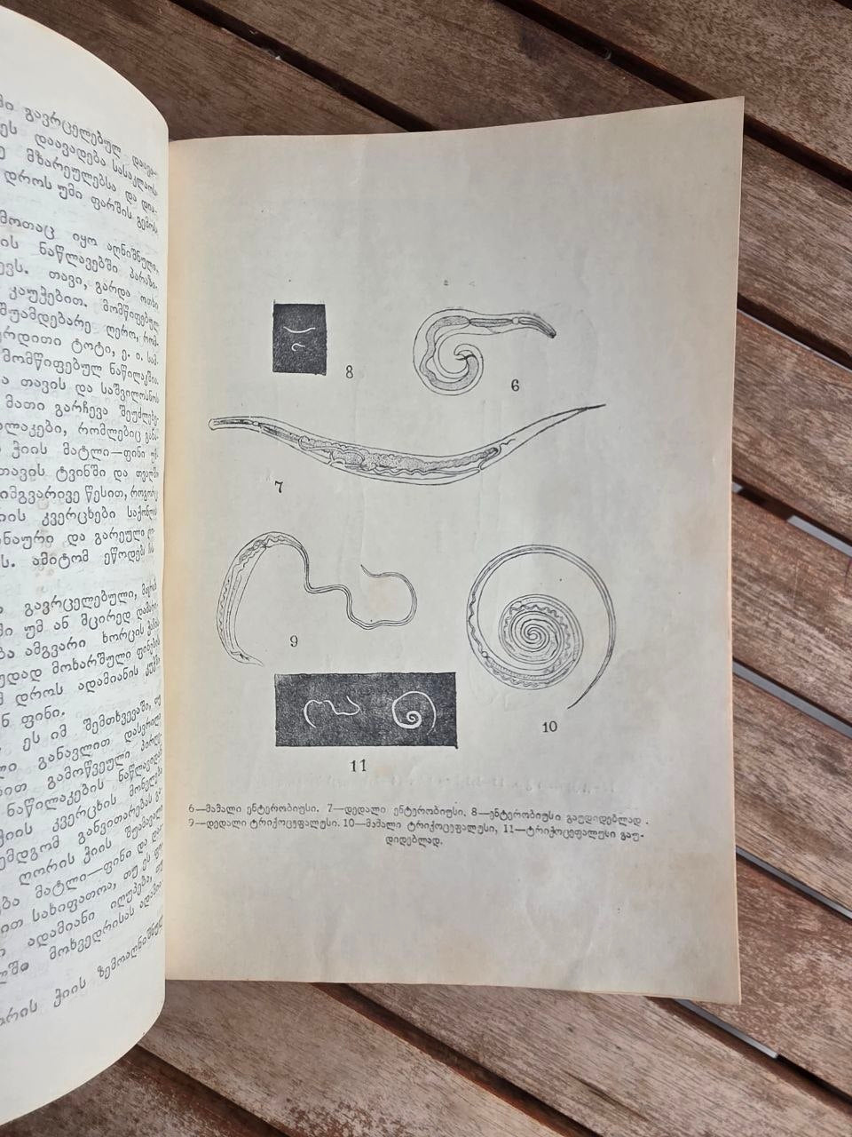 Rare 1950 Soviet Book: Family Medical Guide (Sakmedgami Tbilisi) | Tsar to Soviet Books