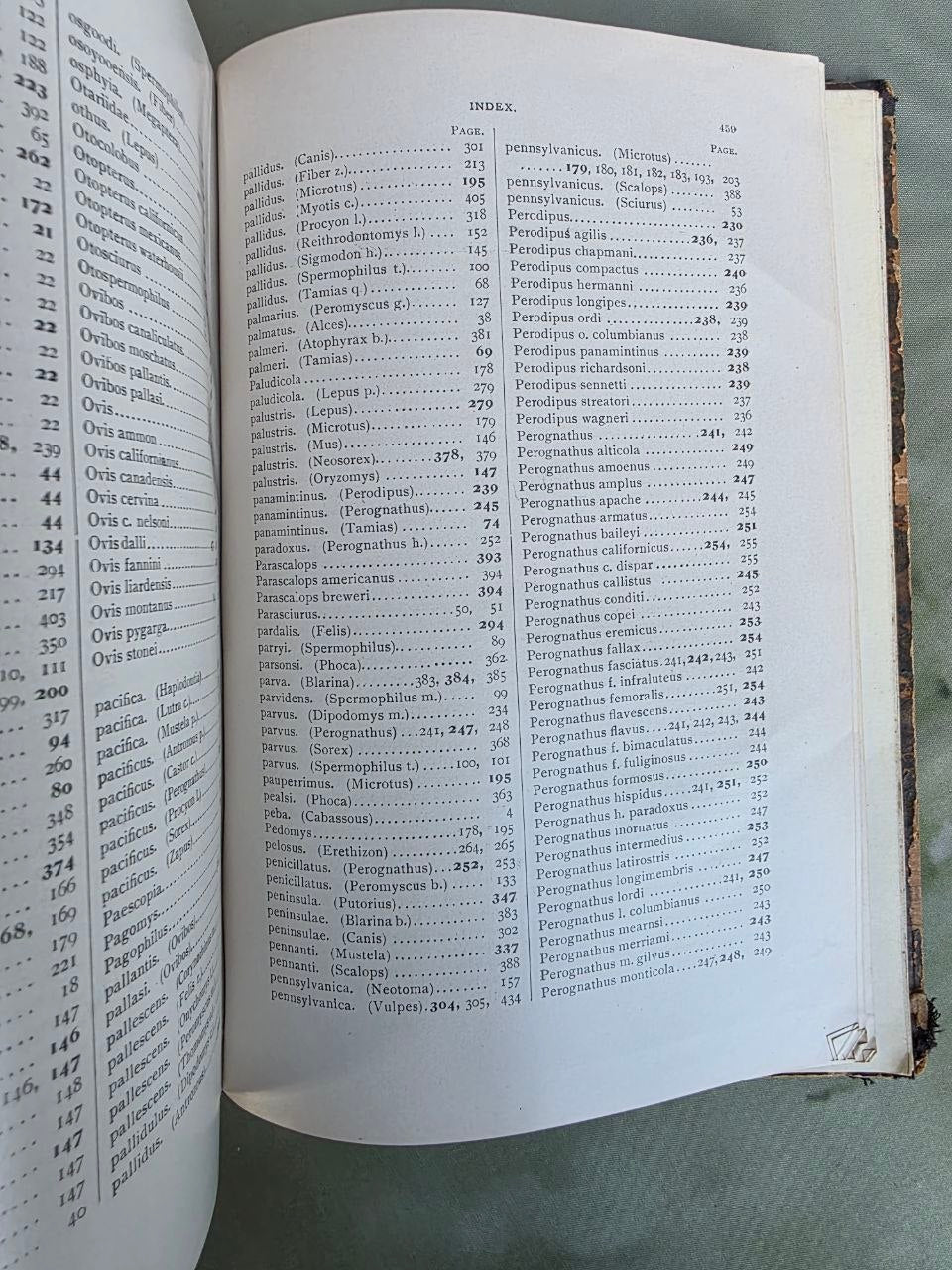Daniel Giraud Elliot – A Synopsis of the Mammals of North America and the Adjacent Seas (1901) First Edition