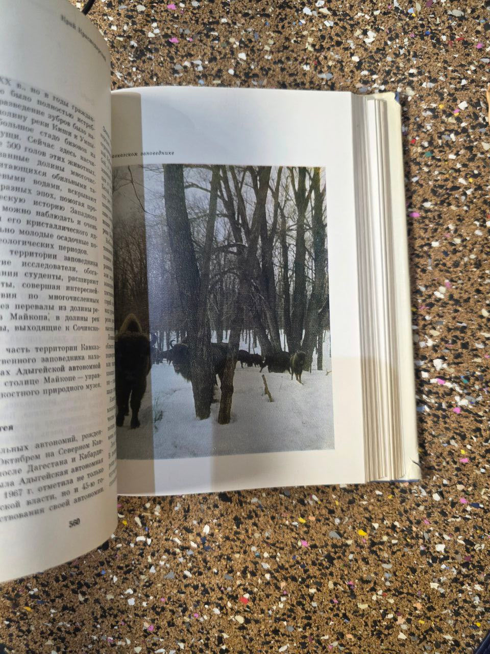 1970s «Российская Федерация: Европейский Юго-Восток» (СССР) | Vintage USSR Book