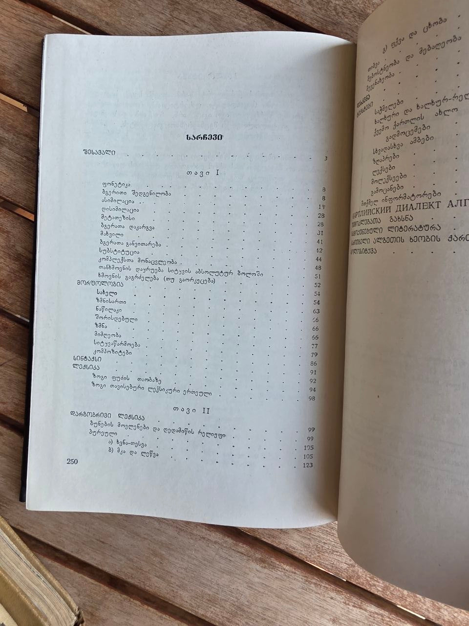 Rare 1978 Soviet Georgian Book: Algeti Valley Dialect – Tamar Salaridze | Tsar to Soviet Books