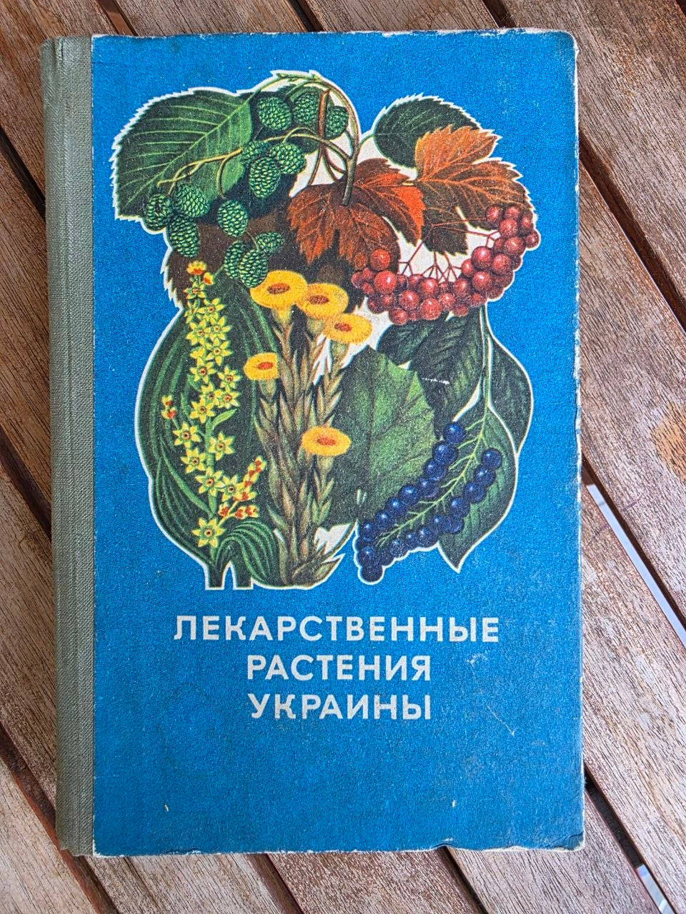 Vintage 1975 Soviet Book: Medicinal Plants of Ukraine – D. S. Ivashin | Tsar to Soviet Books
