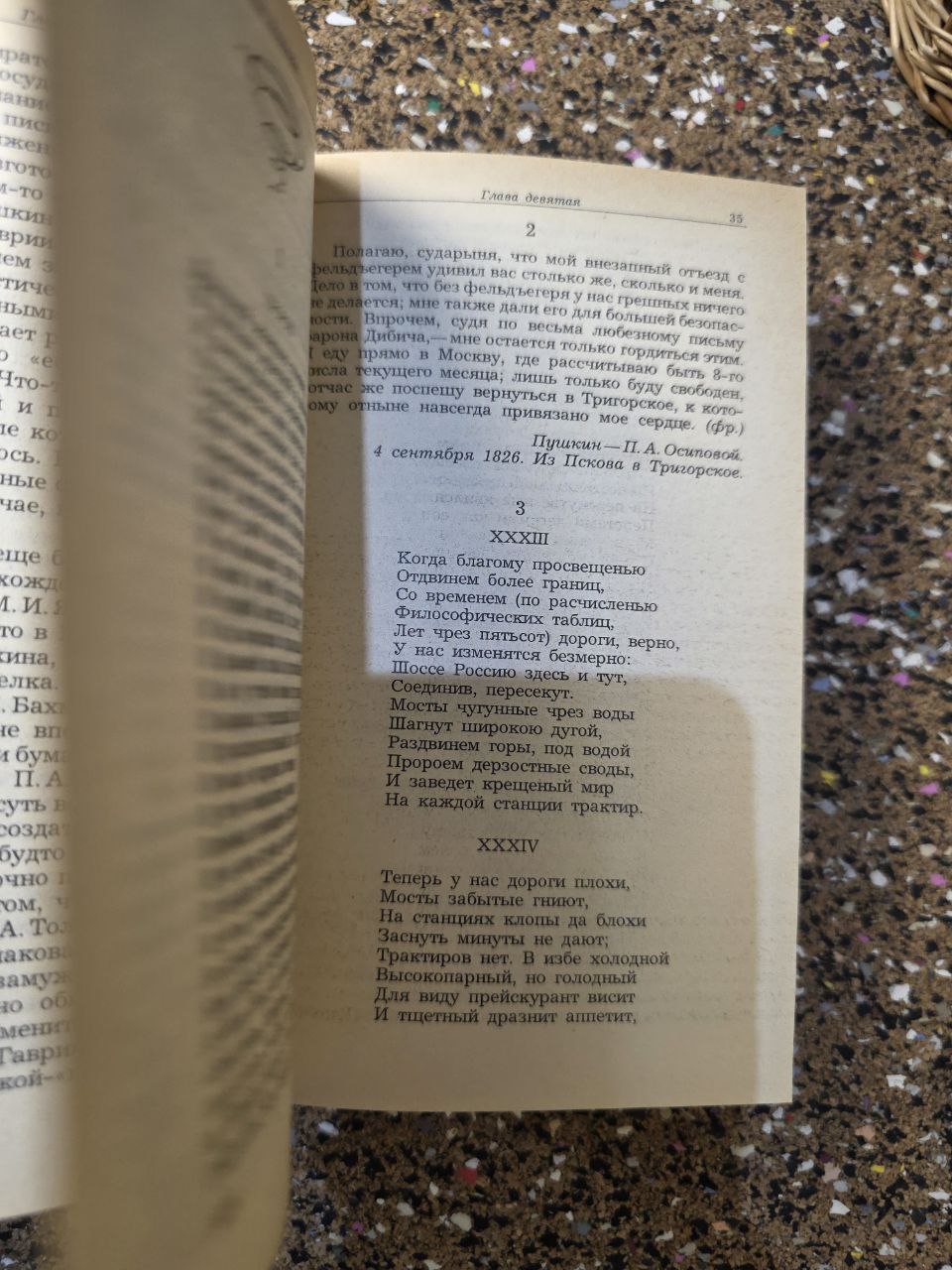 Alexander Pushkin Life 2 Vol Set 1988 Russian Book - Пушкин