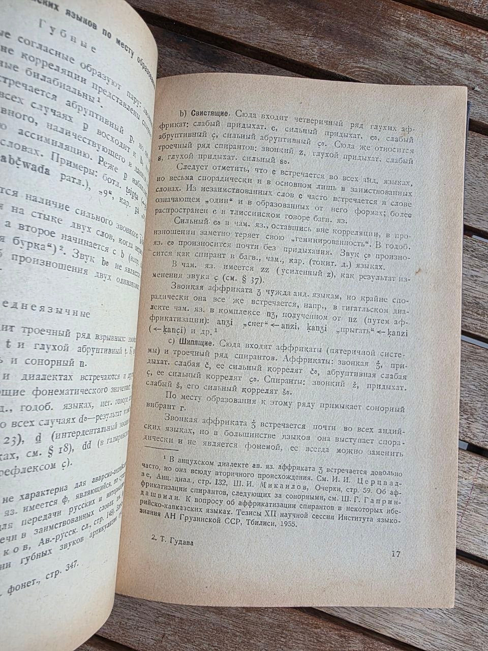 Rare 1964 Soviet Linguistics Book: Consonantism of Andi Languages – T.E. Gudava (Ed. Chikobava) | Tsar to Soviet Books