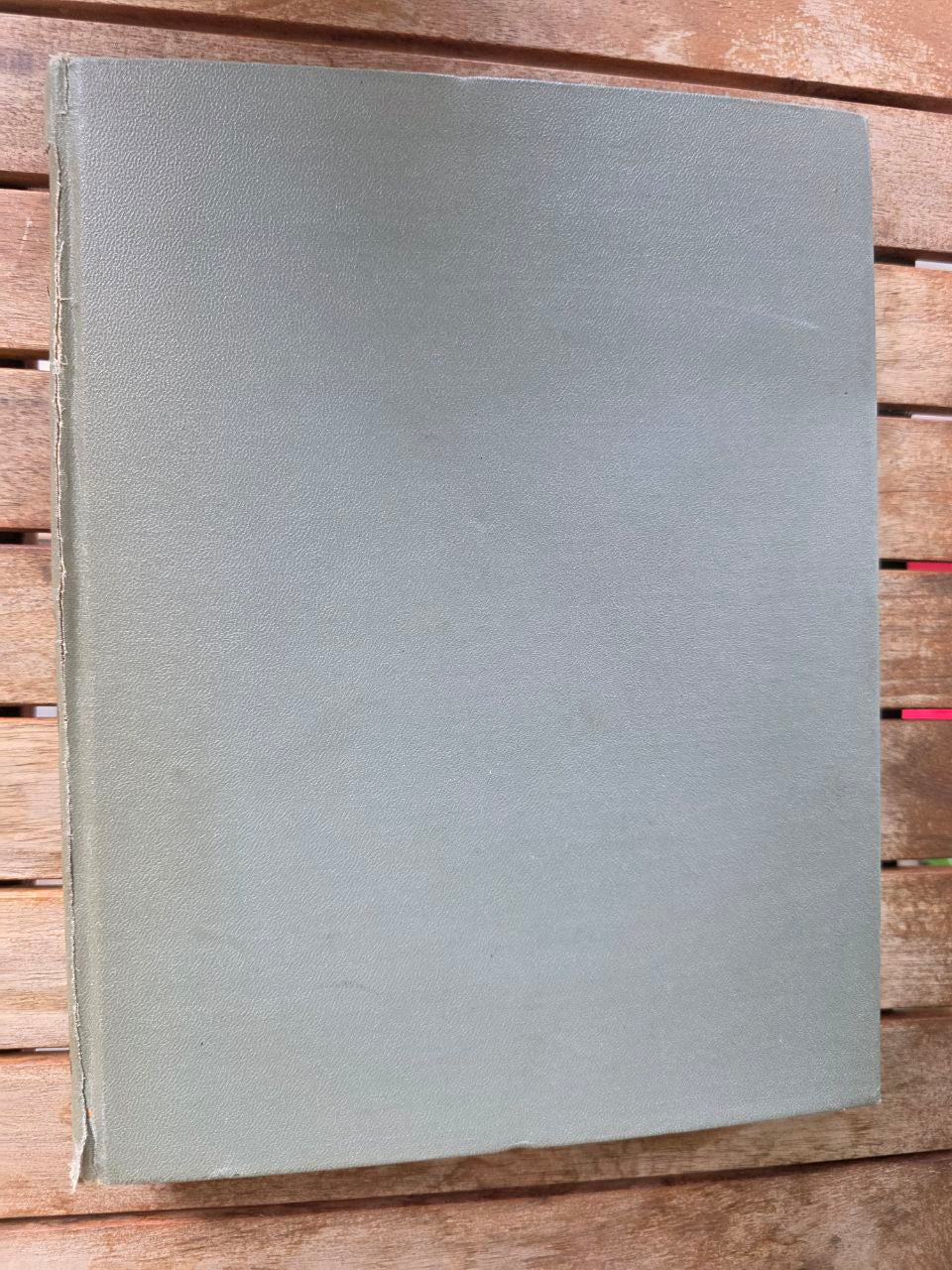 Antique Book “Шота Руставели — Витязь в тигровой шкуре” | Rare Russian Edition |
