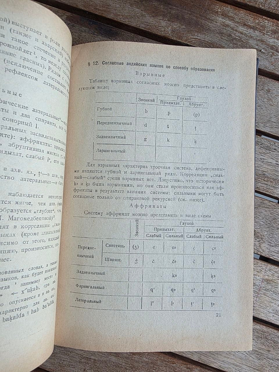Rare 1964 Soviet Linguistics Book: Consonantism of Andi Languages – T.E. Gudava (Ed. Chikobava) | Tsar to Soviet Books