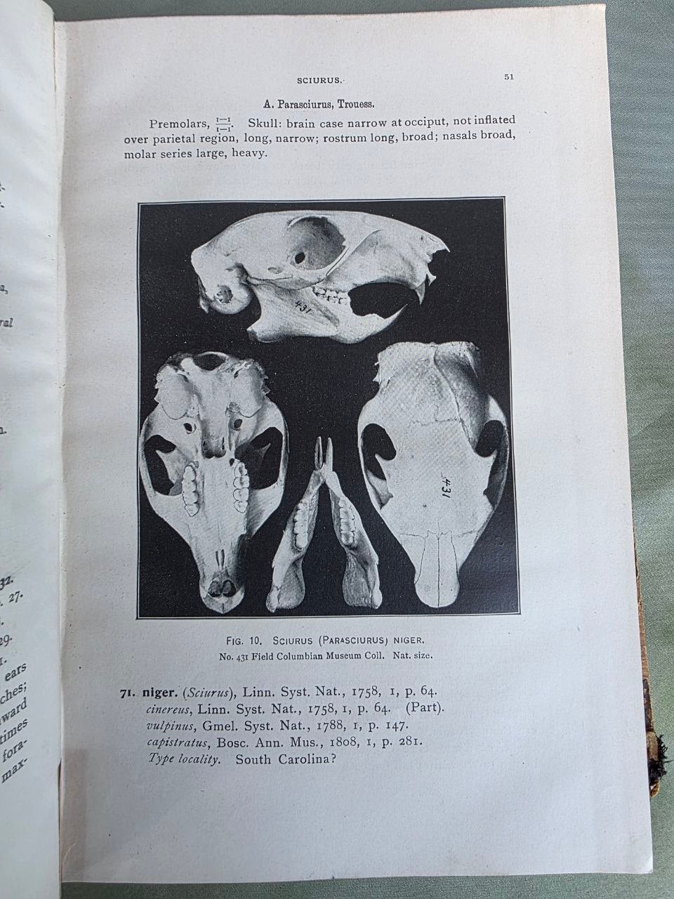 Daniel Giraud Elliot – A Synopsis of the Mammals of North America and the Adjacent Seas (1901) First Edition