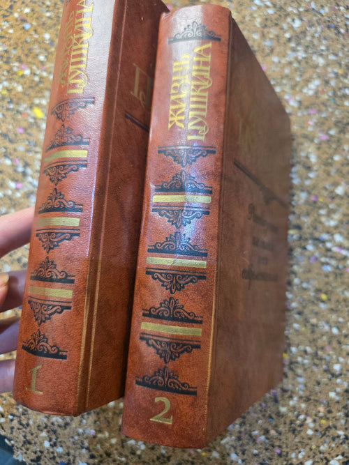 Alexander Pushkin Life 2 Vol Set 1988 Russian Book - Пушкин