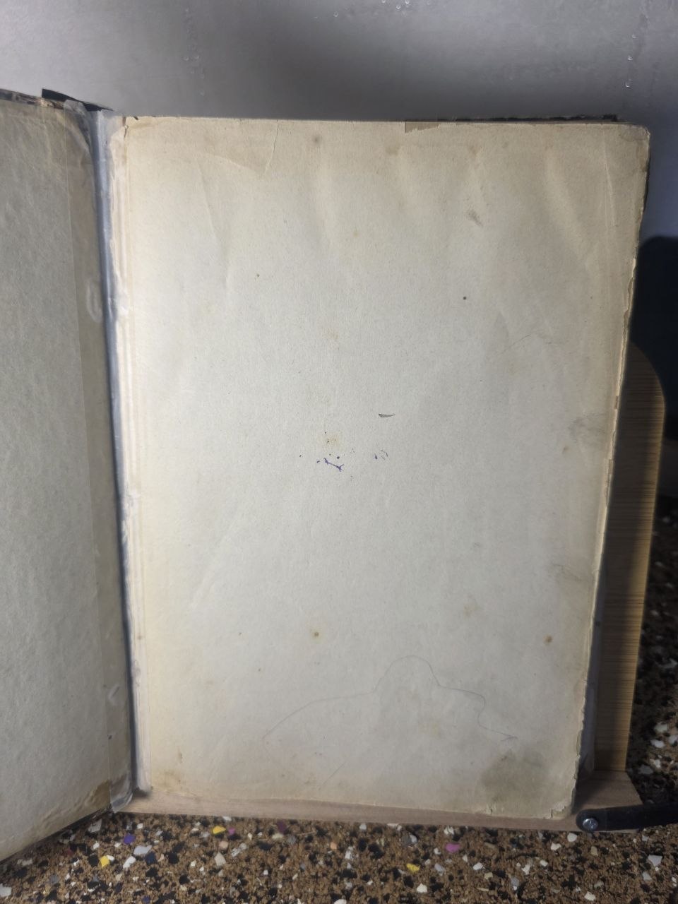 Svetoch and Writer’s Diary — Bound Journal Volume (1910)