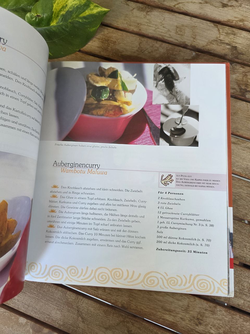 Ayurveda Das Kochbuch by Elisabeth Fünger – German Ayurvedic Cookbook