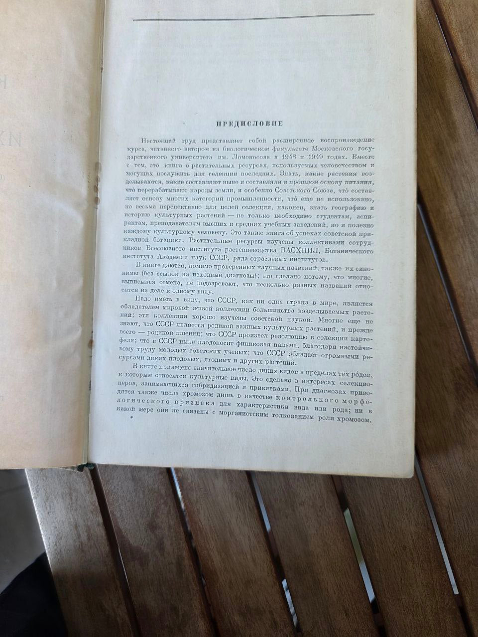 Культурные растения и их сородичи I Cultivated Plants and Their Relatives I 1950