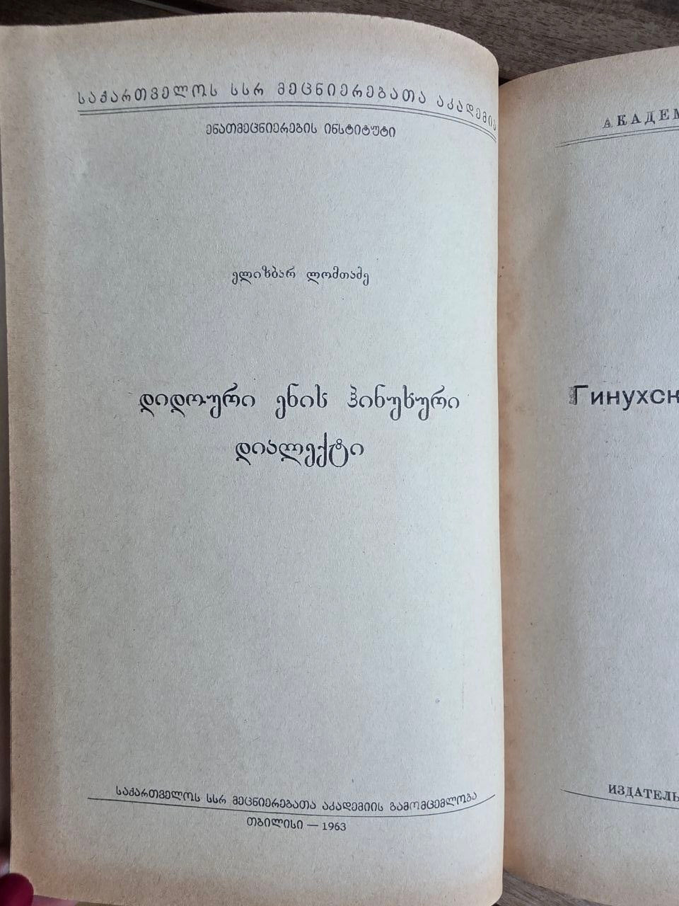 Rare 1963 Soviet Book: Hinukh Dialect of Dido Language – E. Lomtadze | Tsar to Soviet Books