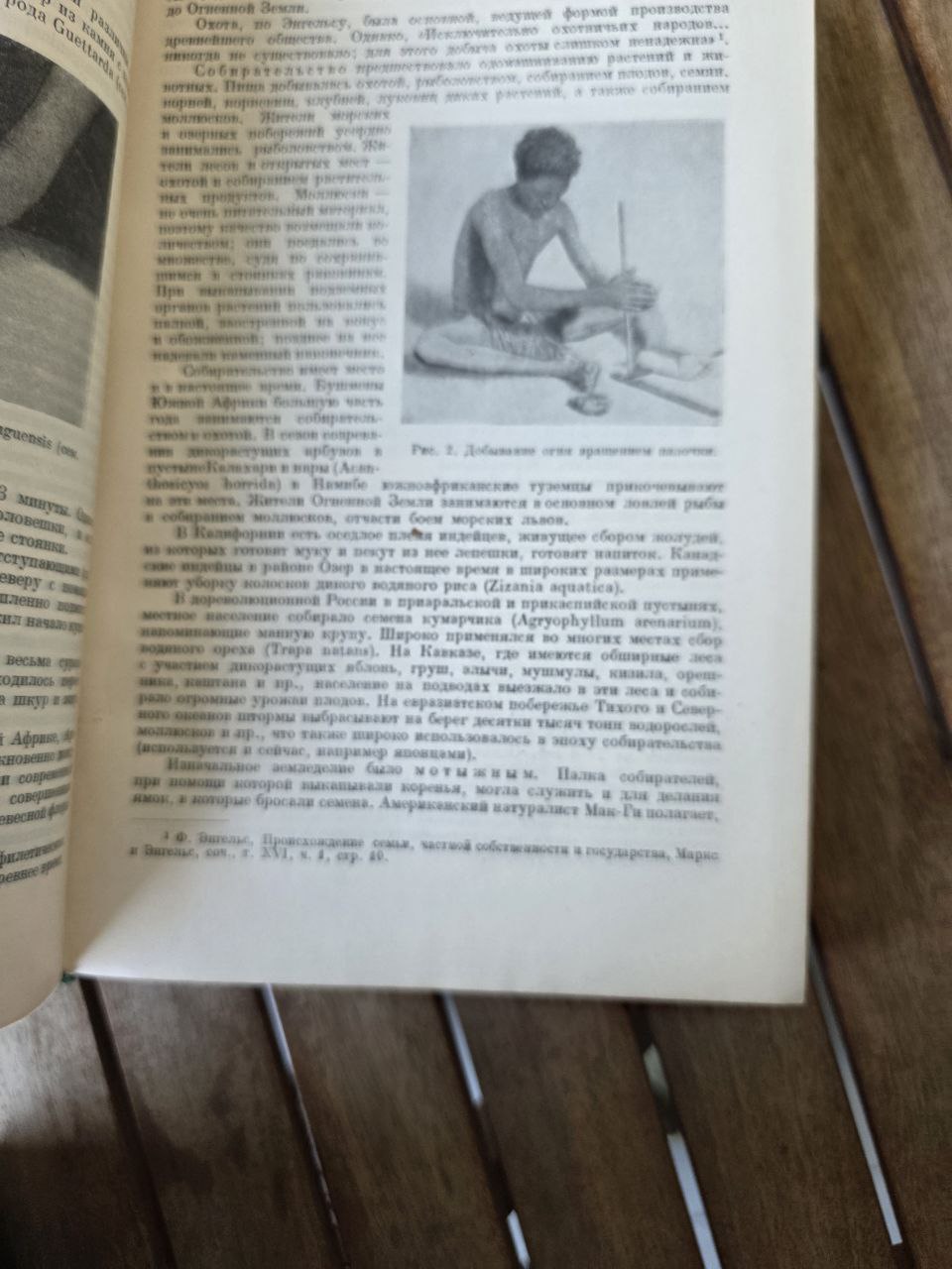 Культурные растения и их сородичи I Cultivated Plants and Their Relatives I 1950