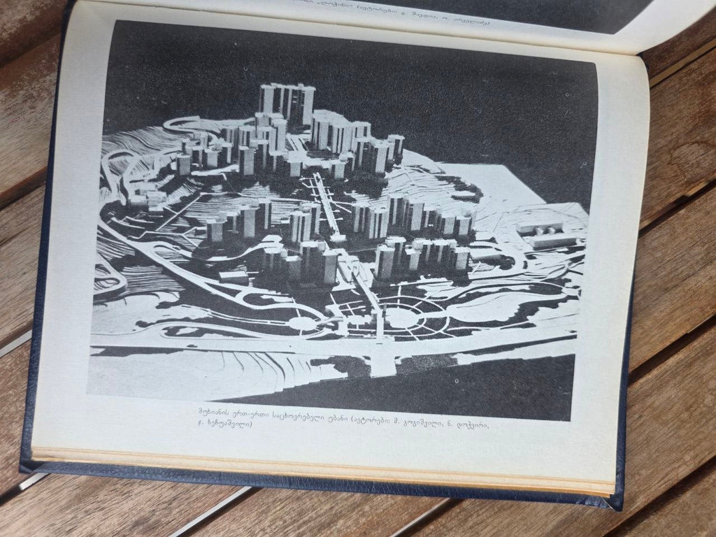 Rare 1989 Soviet Book: Tbilisi Economic-Geographic Study | Tsar to Soviet Books