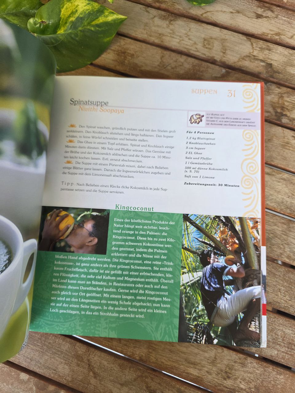 Ayurveda Das Kochbuch by Elisabeth Fünger – German Ayurvedic Cookbook