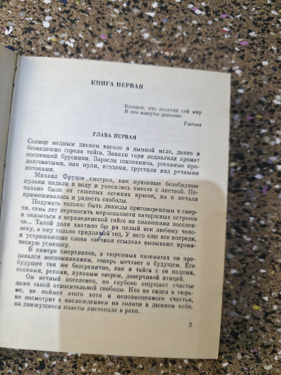 Советская книга 1984 Алдан-Семёнов "Гроза над Россией" USSR Book