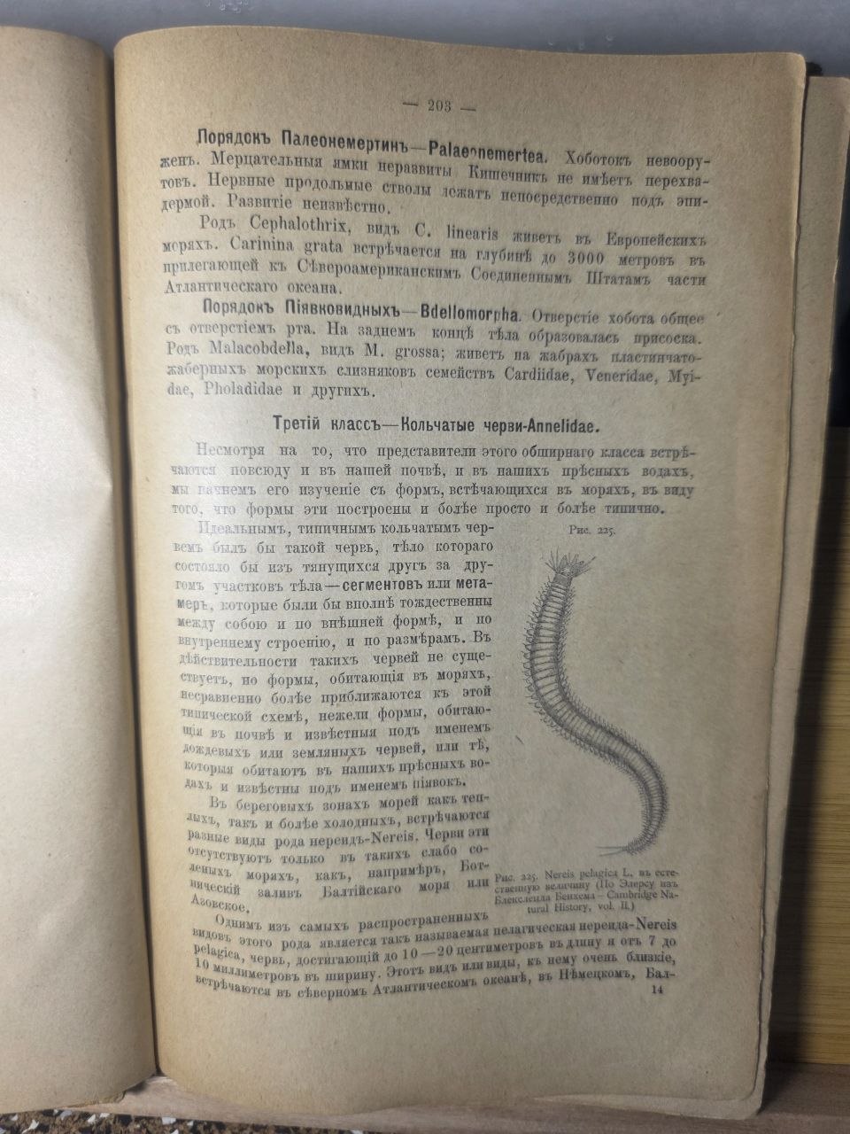 Course of Zoology — Volume II by Nikolai Zograf (1898)