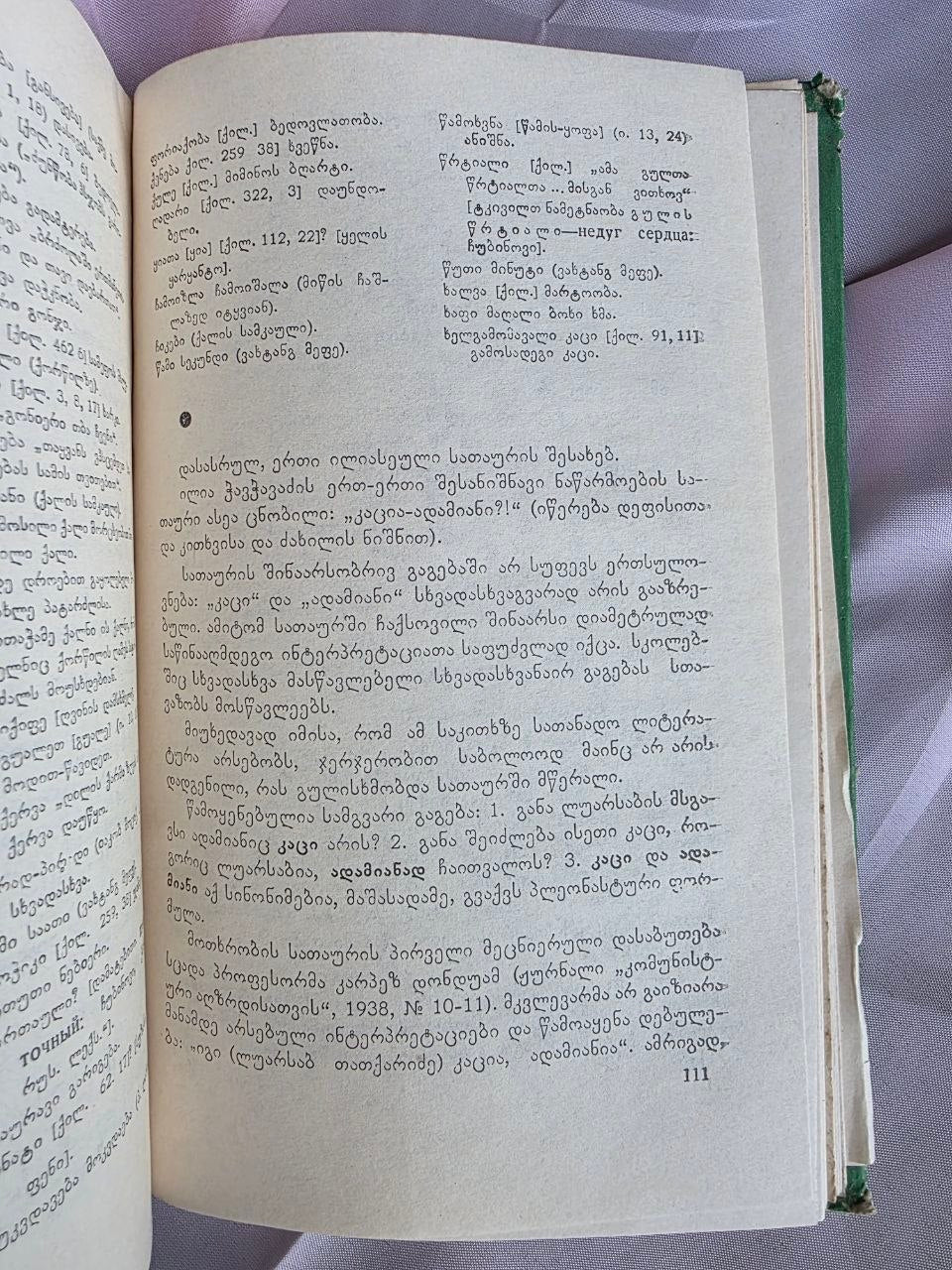 1971 Shota Dzidziguri – Linguistic Heritage of Georgian Classics | Rare Soviet Georgian Philology Book