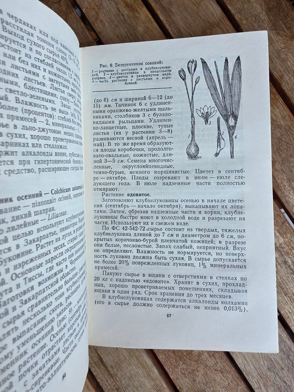 Vintage 1975 Soviet Book: Medicinal Plants of Ukraine – D. S. Ivashin | Tsar to Soviet Books