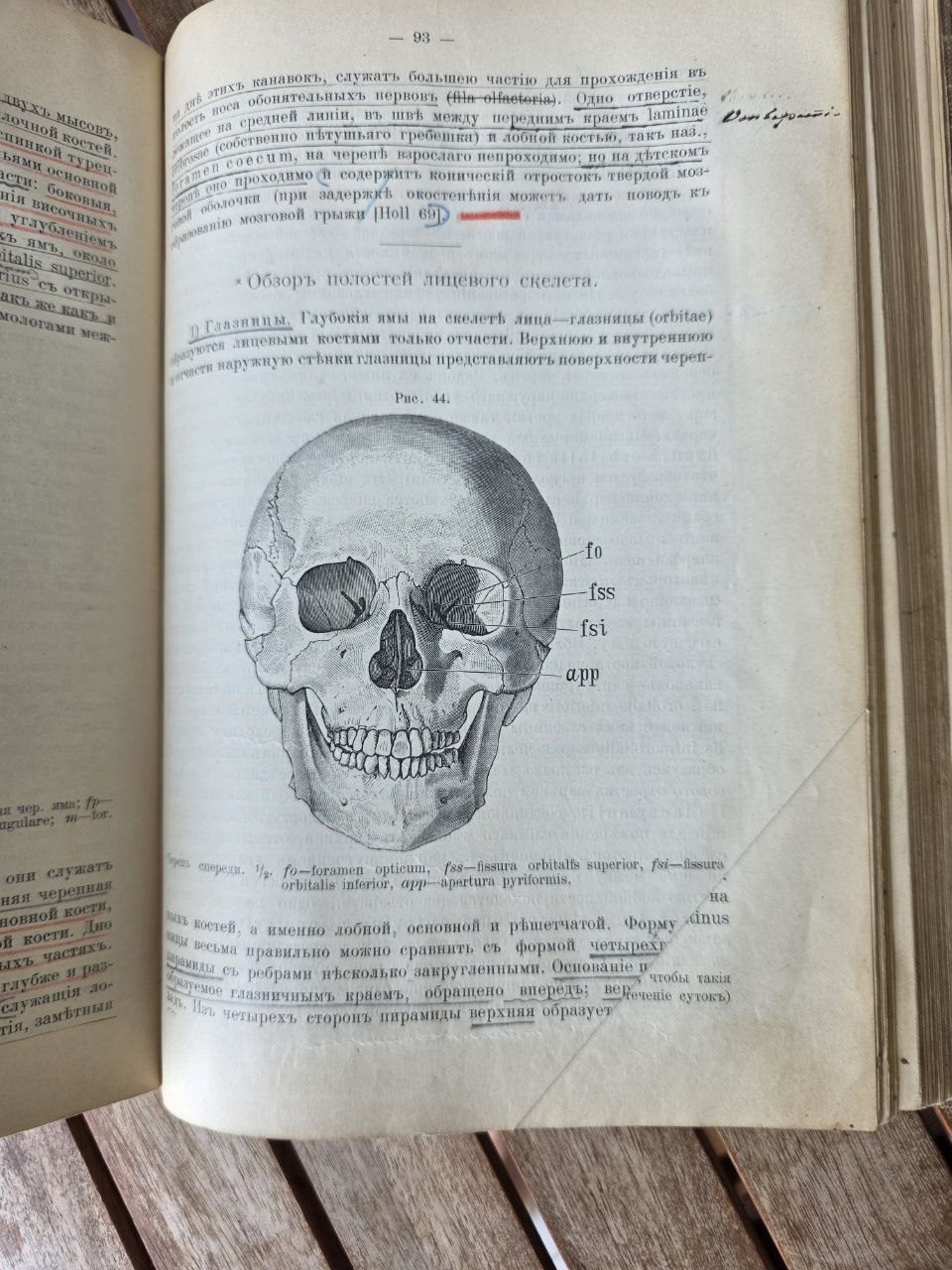 Antique Russian Medical Book – Руководство Описательной Анатомии Человека