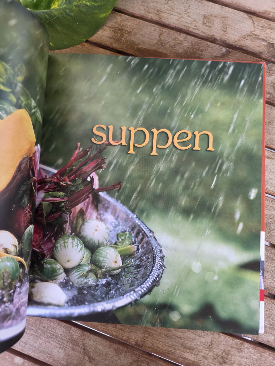 Ayurveda Das Kochbuch by Elisabeth Fünger – German Ayurvedic Cookbook